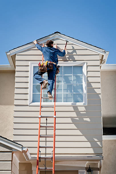 Best Fascia and Soffit Installation  in St Louis, MI